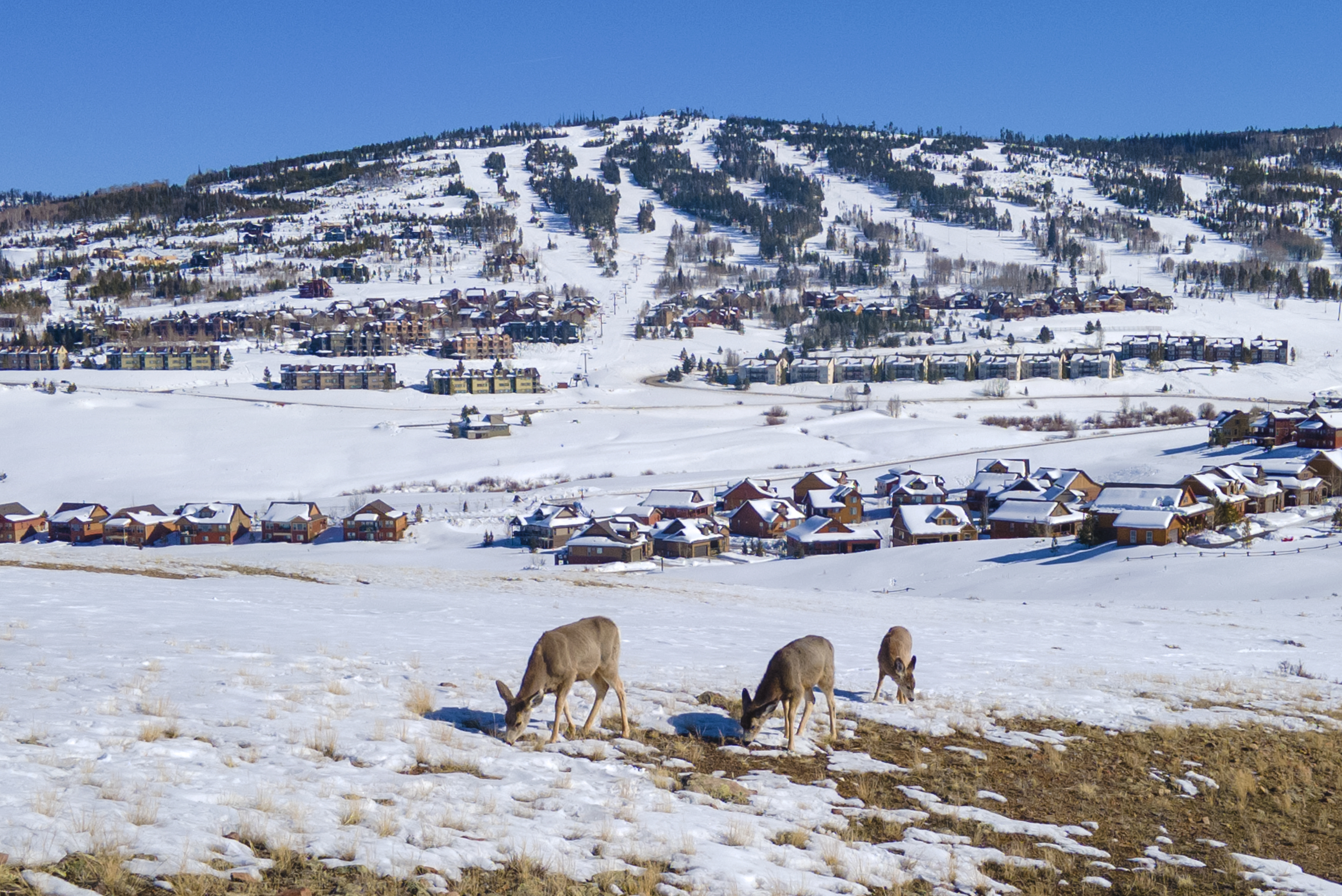 Image for Save on weekday Fraser, Granby, Tabernash and Grand Lake stays